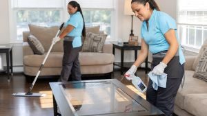 Merry Maids of San Diego reviews