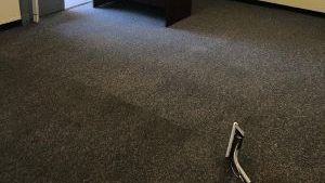 limpieza de carpetas en san diego